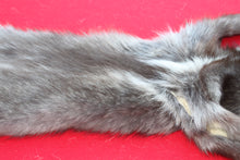 Load image into Gallery viewer, SUPER NICE BLACK FEMALE ARCTIC WOLF - TAXIDERMY QUALITY - WLF1075