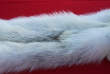 Load image into Gallery viewer, MONSTER WHITE ALPHA MALE ARCTIC WOLF - TAXIDERMY QUALITY - WLF1076