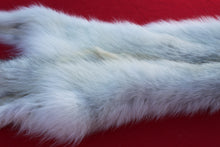 Load image into Gallery viewer, MONSTER WHITE ALPHA MALE ARCTIC WOLF - TAXIDERMY QUALITY - WLF1076