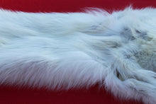 Load image into Gallery viewer, MONSTER WHITE ALPHA MALE ARCTIC WOLF - TAXIDERMY QUALITY - WLF1076