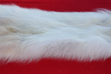 Load image into Gallery viewer, MONSTER WHITE ALPHA MALE ARCTIC WOLF - TAXIDERMY QUALITY - WLF1076