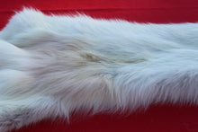Load image into Gallery viewer, MONSTER WHITE ALPHA MALE ARCTIC WOLF - TAXIDERMY QUALITY - WLF1076
