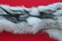 Load image into Gallery viewer, ARCTIC WOLF - TAXIDERMY QUALITY - WLF1077