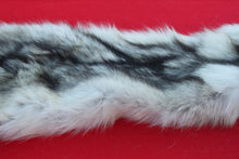 Load image into Gallery viewer, ARCTIC WOLF - TAXIDERMY QUALITY - WLF1077