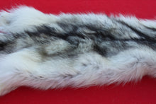 Load image into Gallery viewer, ARCTIC WOLF - TAXIDERMY QUALITY - WLF1077