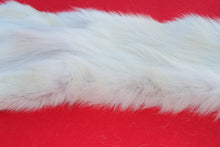 Load image into Gallery viewer, ARCTIC WOLF - TAXIDERMY QUALITY - WLF1077
