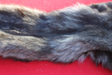 Load image into Gallery viewer, BLACK and SILVER FEMALE ARCTIC WOLF - TAXIDERMY QUALITY - WLF1079