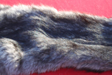 Load image into Gallery viewer, BLACK and SILVER FEMALE ARCTIC WOLF - TAXIDERMY QUALITY - WLF1079