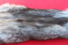 Load image into Gallery viewer, BLACK and SILVER FEMALE ARCTIC WOLF - TAXIDERMY QUALITY - WLF1079