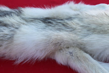 Load image into Gallery viewer, HUGE WHITE FEMALE ARCTIC WOLF - TAXIDERMY QUALITY - WLF1080
