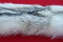 Load image into Gallery viewer, HUGE WHITE FEMALE ARCTIC WOLF - TAXIDERMY QUALITY - WLF1080