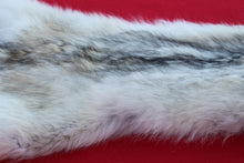 Load image into Gallery viewer, HUGE WHITE FEMALE ARCTIC WOLF - TAXIDERMY QUALITY - WLF1080