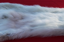 Load image into Gallery viewer, HUGE WHITE FEMALE ARCTIC WOLF - TAXIDERMY QUALITY - WLF1080
