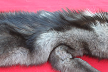 Load image into Gallery viewer, EXCEPTIONAL BLACK MALE ARCTIC WOLF - HAS FEET AND CLAWS - WLF1081