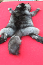 Load image into Gallery viewer, EXCEPTIONAL BLACK MALE ARCTIC WOLF - HAS FEET AND CLAWS - WLF1081