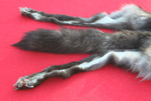 Load image into Gallery viewer, XXLARGE BLACK MALE ARCTIC WOLF - HAS FEET AND CLAWS - WLF1082