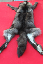 Load image into Gallery viewer, XXLARGE BLACK MALE ARCTIC WOLF - HAS FEET AND CLAWS - WLF1082
