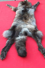 Load image into Gallery viewer, XXLARGE BLACK MALE ARCTIC WOLF - HAS FEET AND CLAWS - WLF1082