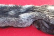 Load image into Gallery viewer, SPECTACULAR BLACK / SILVER FEMALE ARCTIC WOLF - WLF1085