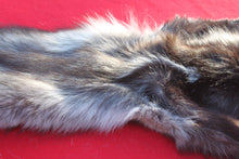 Load image into Gallery viewer, SPECTACULAR BLACK / SILVER FEMALE ARCTIC WOLF - WLF1085