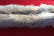 Load image into Gallery viewer, Canadian Arctic Wolf - Taxidermy Quality - WLF1061