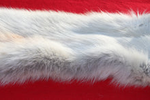 Load image into Gallery viewer, Canadian Arctic Wolf - Taxidermy Quality - WLF1061