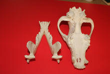 Load image into Gallery viewer, XXXXL Wolf Skull - Huge Alpha Male - WLS1009D