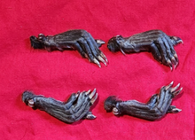 Load image into Gallery viewer, Mummified Animal Feet