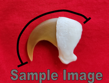 Load image into Gallery viewer, Mountain Lion Claws - Dew Claws