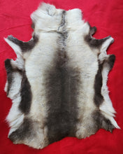 Load image into Gallery viewer, Caribou - Reindeer Hide - CAR1004