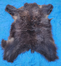 Load image into Gallery viewer, Black Bear Hide