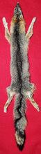 Load image into Gallery viewer, Grey Fox - HAS FEET AND CLAWS - GFX1001