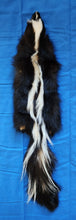 Load image into Gallery viewer, Medium Striped Skunk Hide - SNK1018