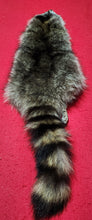 Load image into Gallery viewer, XL Raccoon Hide - HAS FEET AND CLAWS - RAC1018