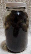 Load image into Gallery viewer, Packrat - Wet Specimen