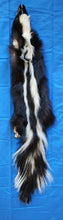 Load image into Gallery viewer, XL Striped Skunk Hide - HAS FEET AND CLAWS - SNK1015