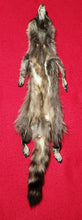 Load image into Gallery viewer, Large Raccoon - HAS FEET AND CLAWS - RAC1019