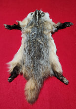 Load image into Gallery viewer, Small Badger - HAS FEET AND CLAWS - BDG1005