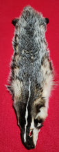 Load image into Gallery viewer, Badger - BDG1007