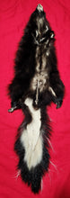 Load image into Gallery viewer, XL Skunk Hide - HAS FEET AND CLAWS - SNK1008