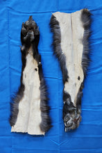 Load image into Gallery viewer, Black Wolf Front Legskins - Pair - HAS FEET AND CLAWS - WLF1110