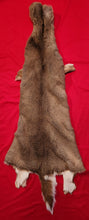 Load image into Gallery viewer, Whitetail Deer Hide - WTD1019