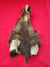 Load image into Gallery viewer, Cow Elk Head