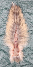Load image into Gallery viewer, Coyote Tail - #1 Quality