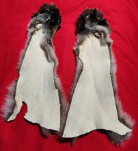 Load image into Gallery viewer, Mountain Lion Front Legskins w/ Feet and Claws - MTL1019D2