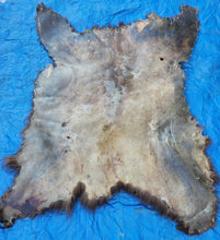 Load image into Gallery viewer, Black Bear Hide