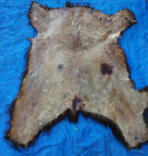 Load image into Gallery viewer, Black Bear Hide
