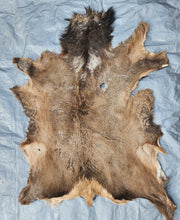 Load image into Gallery viewer, Raw Elk Hide - REH1008