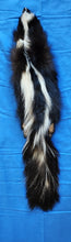 Load image into Gallery viewer, Small Striped Skunk Hide - HAS FEET AND CLAWS - SNK1016