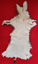 Load image into Gallery viewer, Mule Deer Hide - MDH1001